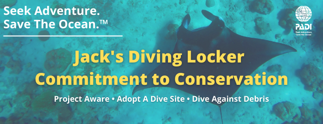 Here Are 3 Ways Jack's Diving Locker Supports Conservation In Hawaii. 